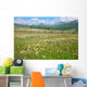 Green Summer Pasture