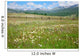 Green Summer Pasture