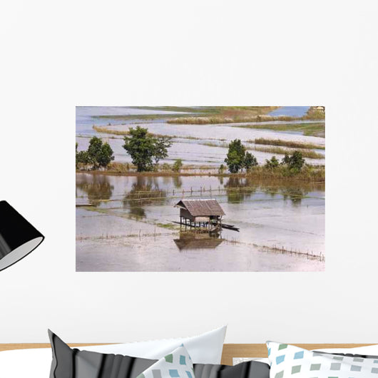 Flooded Fields around Inle Wall Decal