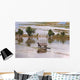 Flooded Fields around Inle Wall Decal