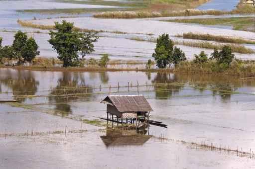 Flooded Fields around Inle Wall Decal