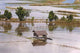 Flooded Fields around Inle Wall Decal