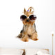 Yorkie in the Glass Wall Decal