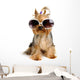 Yorkie in the Glass Wall Decal