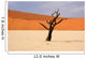 Dead Vlei