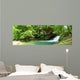 Eistobel Waterscape Wall Mural