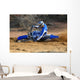 moto-cross Wall Mural
