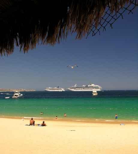 Beach Club No3 Wall Decal