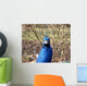 Peacock Head Wall Mural
