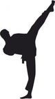 taekwondo Wall Decal
