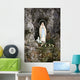 Immaculate Wall Decal