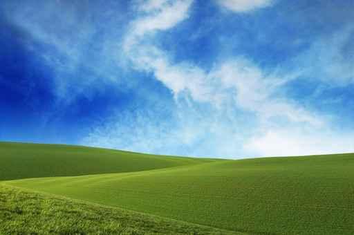 Beautiful Green Fields Wall Decal