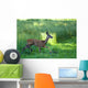 Roe Wall Mural