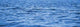 Wasser Wall Decal