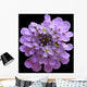 Optional Flower Wall Mural