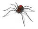 Spider Black Widow Wall Decal