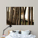 Bamboo Wall Mural