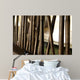 Bamboo Wall Mural