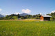 Meadow near Oberstdorf Wall Decal