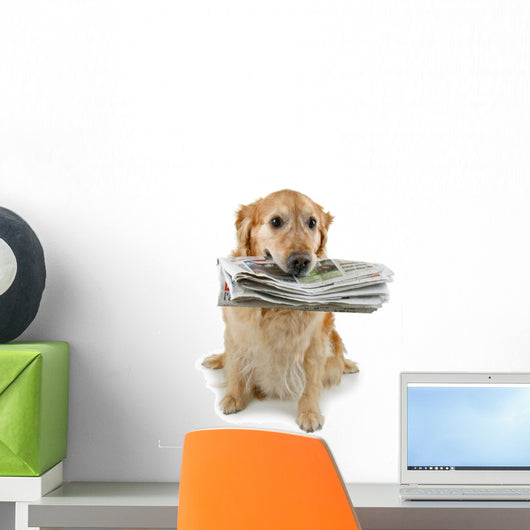 golden retriever, brings the newspaper Wall Decal