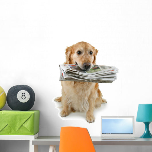 golden retriever, brings the newspaper Wall Decal