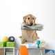 golden retriever, brings the newspaper Wall Decal