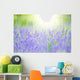 Lavender Wall Mural