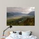 Columbia River Gorge Wall Mural