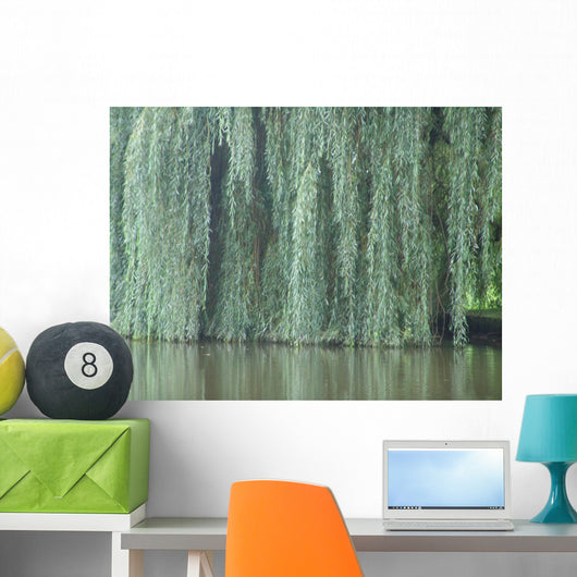 willow Wall Mural