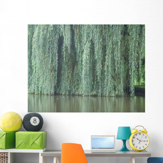 willow Wall Mural