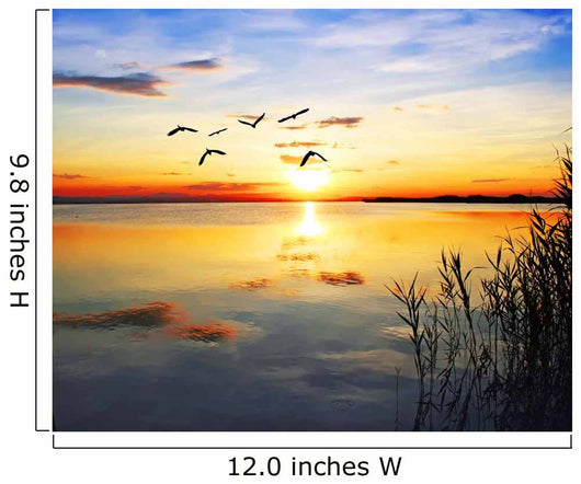 flying towards the sun Wall Mural