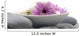 Bowl of Gerber Daisy on Zen Stones Wall Decal