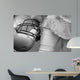 American Football Wall Mural