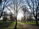 Hyde Park Wall Decal