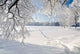 Winter Park Snow Wall Decal Design 2