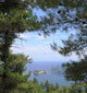 Sea Landscape over Forrest Wall Mural