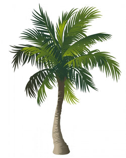 Palm Wall Decal