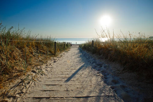 Over Dune to Beach