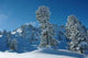 Alpine Winter Landscape Wall Decal