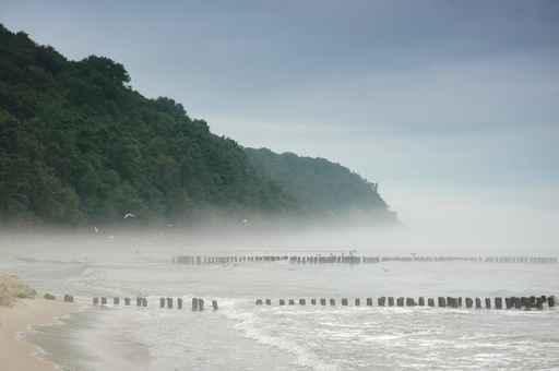 Baltic Sea Fog Wall Decal