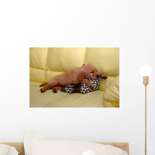 Little puppy sleeping Wall Mural