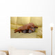 Little puppy sleeping Wall Mural