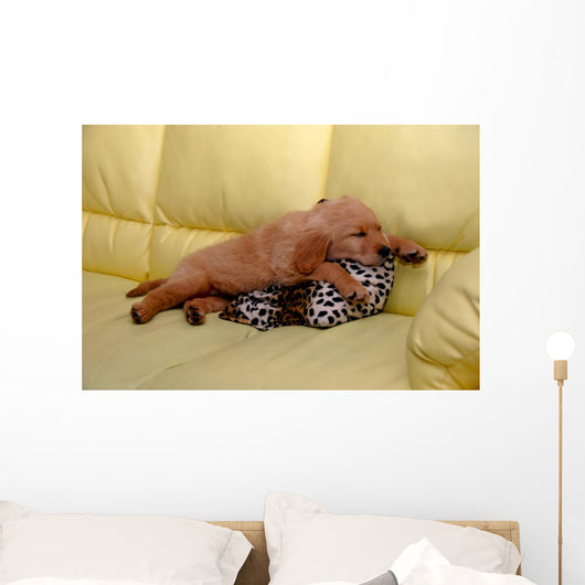 Little puppy sleeping Wall Mural