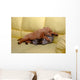 Little puppy sleeping Wall Mural