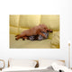 Little puppy sleeping Wall Mural