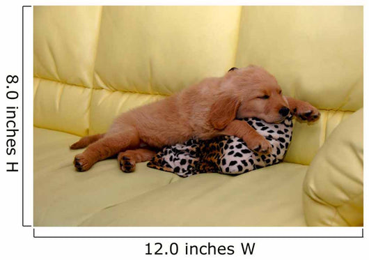 Little puppy sleeping Wall Mural