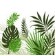 Tropical Leaves 01