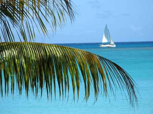 Island Sails Wall Decal