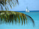 Island Sails Wall Decal