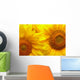 Sunflowers background Wall Mural